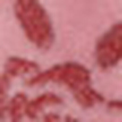 ルームウェア, , swatch