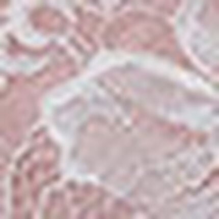 ショーツ, , swatch