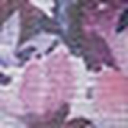 ガードル（ロング丈）, , swatch