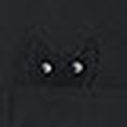 トップス, , swatch