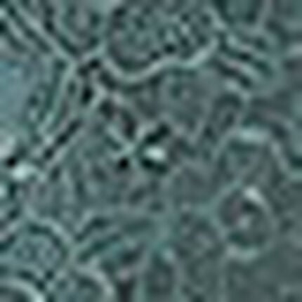 ブラ＆ショーツセット, , swatch