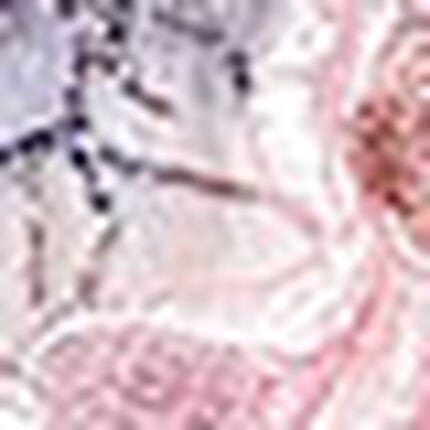 ガーターベルト, , swatch