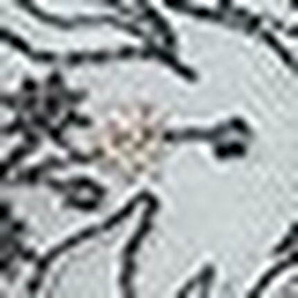 ショーツ, , swatch