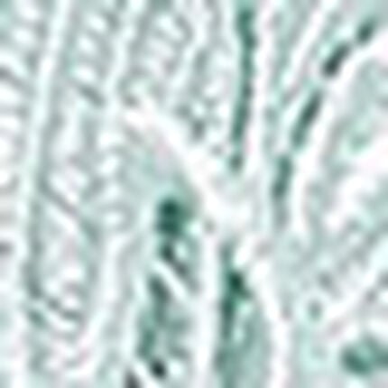 ガーターベルト, , swatch