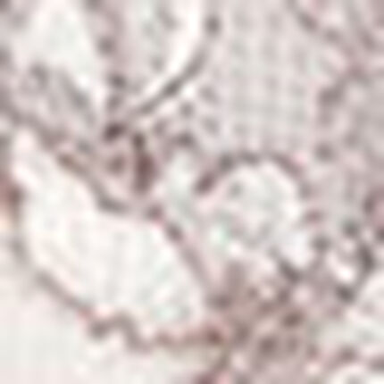 フルカップブラ, , swatch