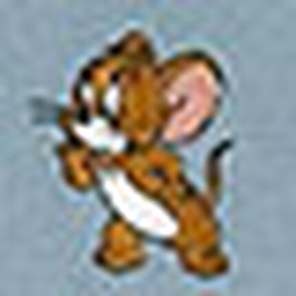 Ｔシャツ, , swatch