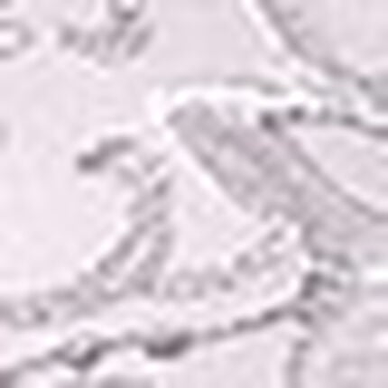 キャミソール, , swatch