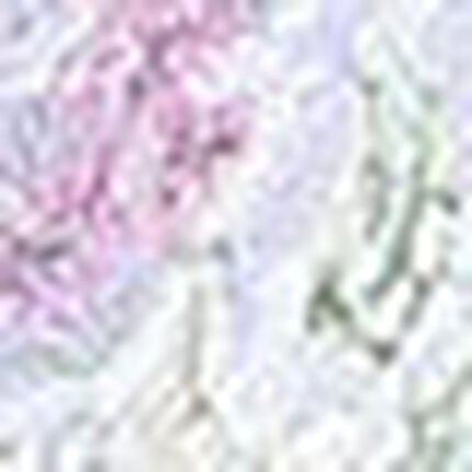 ３／４カップブラ（ノンワイヤーブラ）, , swatch