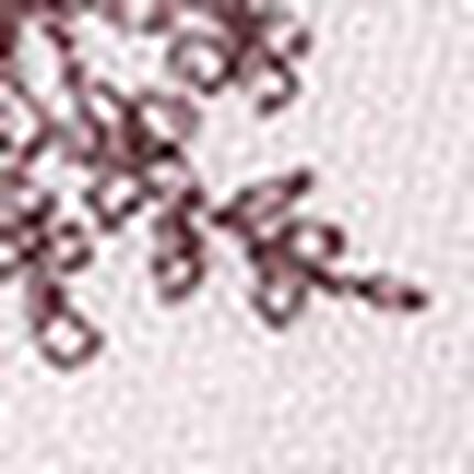 フルカップブラ, , swatch