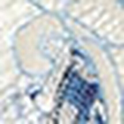 Ｔバックショーツ, , swatch