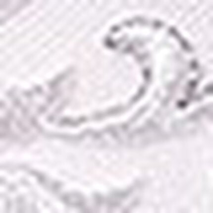 ショーツ, , swatch