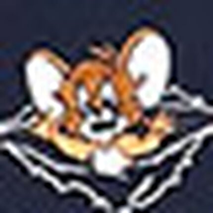 Ｔシャツ, , swatch