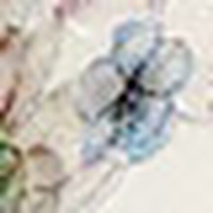 マタニティショーツ（産前・産後）, , swatch