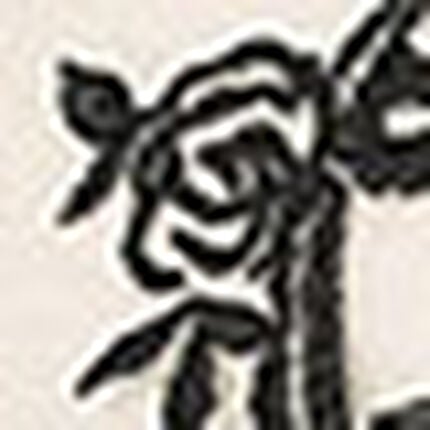 ノンワイヤーブラ, , swatch