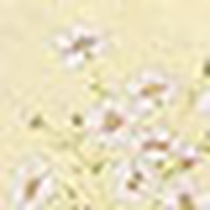 パジャマ, , swatch