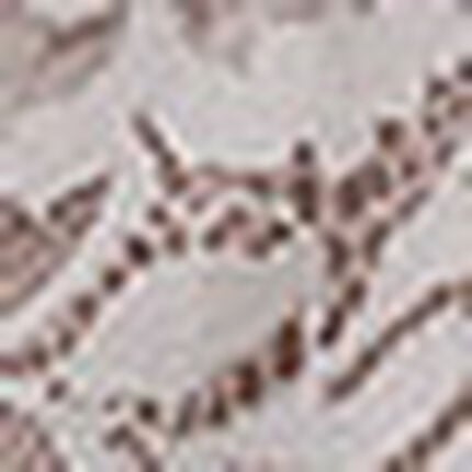 ショーツ, , swatch