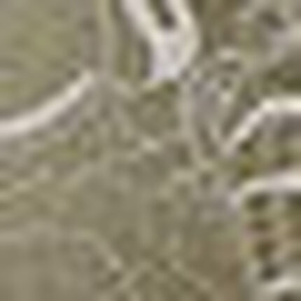 ブラキャミソール, , swatch