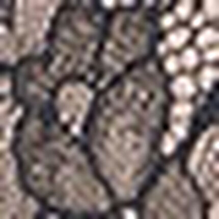 ブラジャー, , swatch