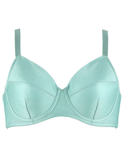 フルカップブラ, , main