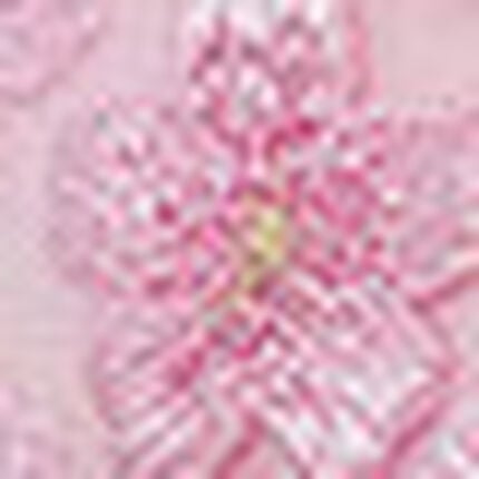 ブラジャー, , swatch
