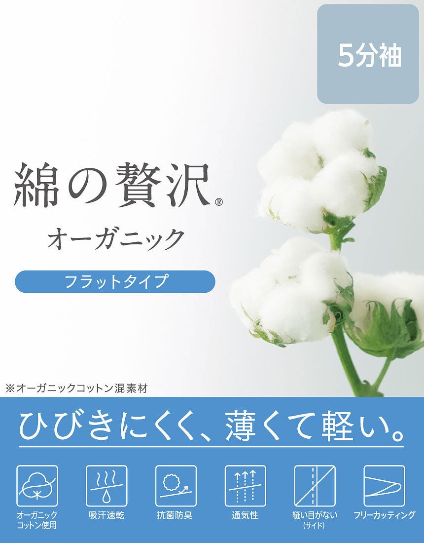 トップス（５分袖）, , hi-res