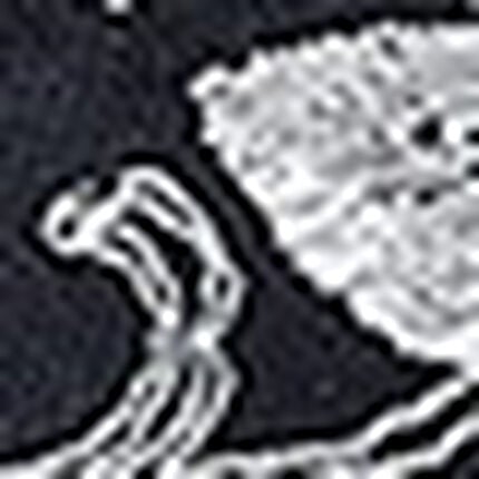 ワイヤーブラ（３／４カップ）, , swatch