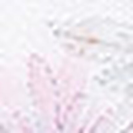 ボーイレングスショーツ, , swatch