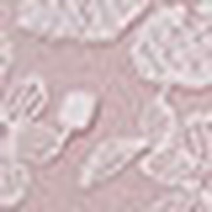 ブラジャー, , swatch