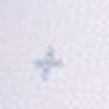 スポーツショーツ, , swatch