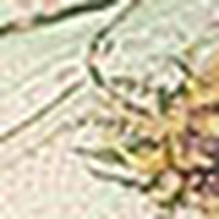 ノンワイヤーブラ, , swatch