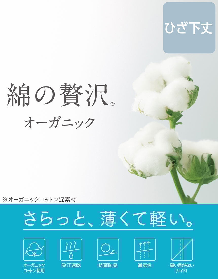 ボトムス（ひざ下丈）, , hi-res