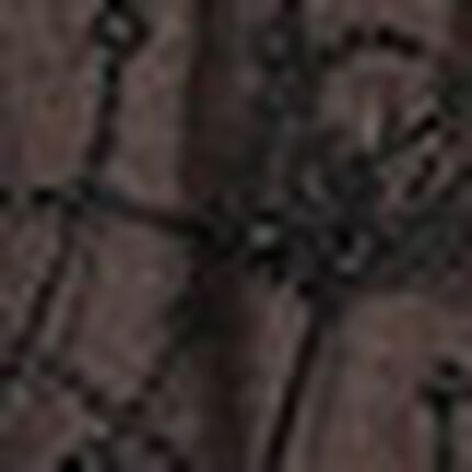 Ｔバックショーツ, , swatch