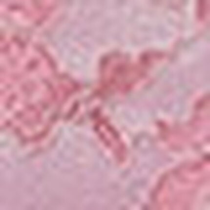 サニタリー, , swatch