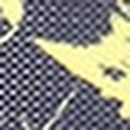 スポーツショーツ, , swatch