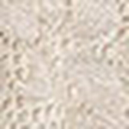 Ｔバックショーツ, , swatch