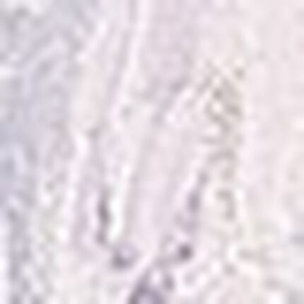 ３／４カップブラ（ノンワイヤーブラ）, , swatch