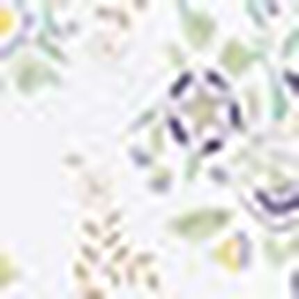 パジャマ, , swatch