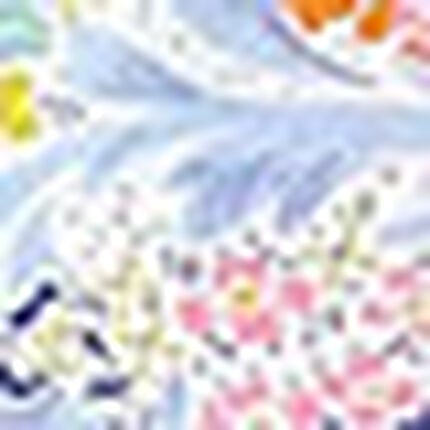 ショーツ, , swatch