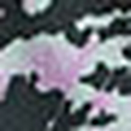 クロスウォーカー（前開き）, , swatch