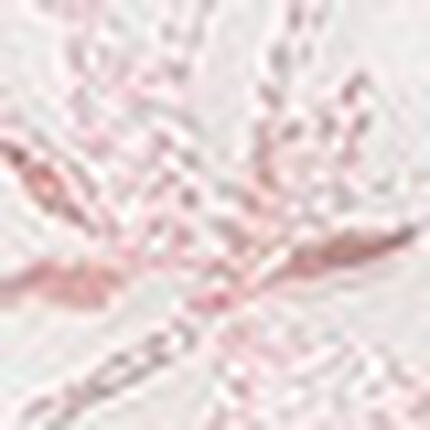 ショーツ, , swatch