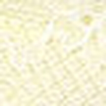 Ｔバックショーツ, , swatch