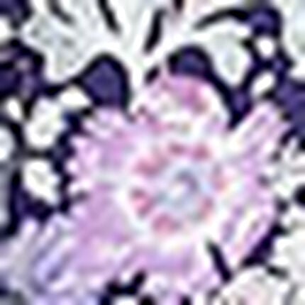 パジャマ, , swatch