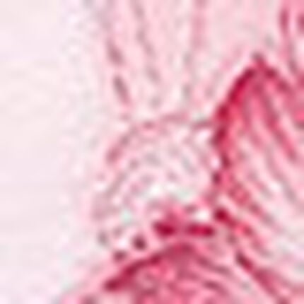 レディスショーツ, , swatch