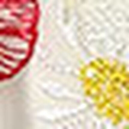 Ｔバックショーツ, , swatch