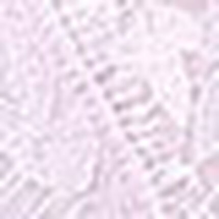 キャミソール, , swatch