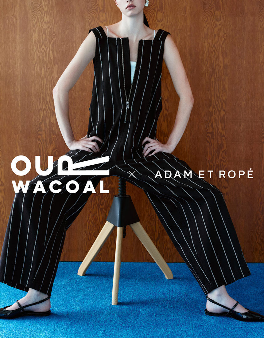 美品 アダム ツインジョイント Adam Twin Join のけぞっ ケース付き