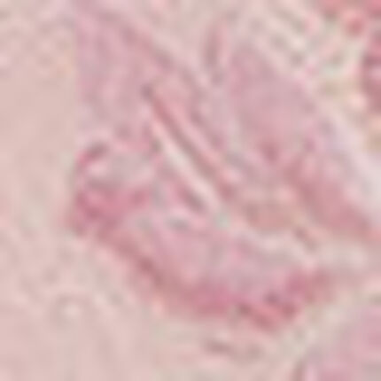 ブラジャー, , swatch