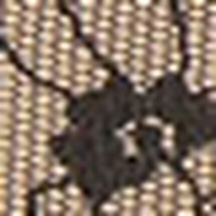 ショーツ, , swatch