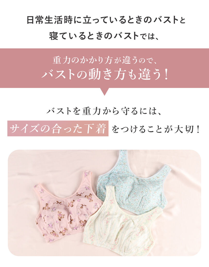 ノンワイヤーブラ, , hi-res