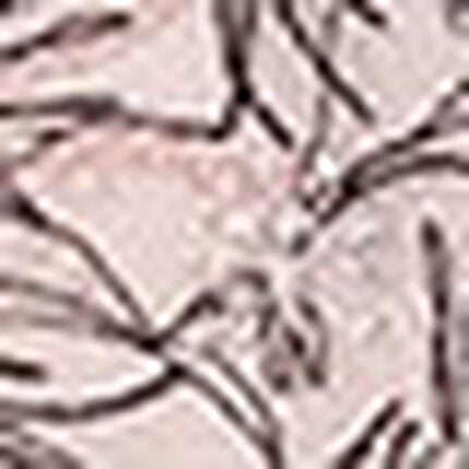 Ｔバックショーツ, , swatch